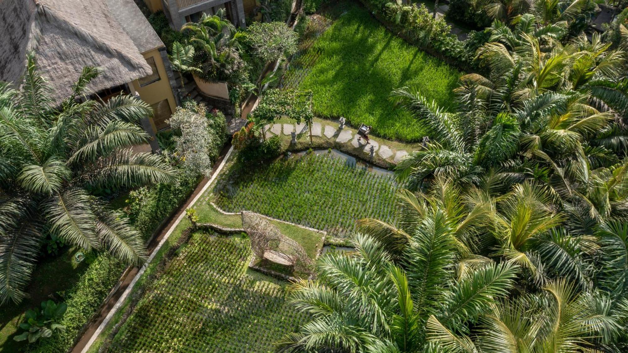 אובוד The Sankara Resort By Pramana מראה חיצוני תמונה
