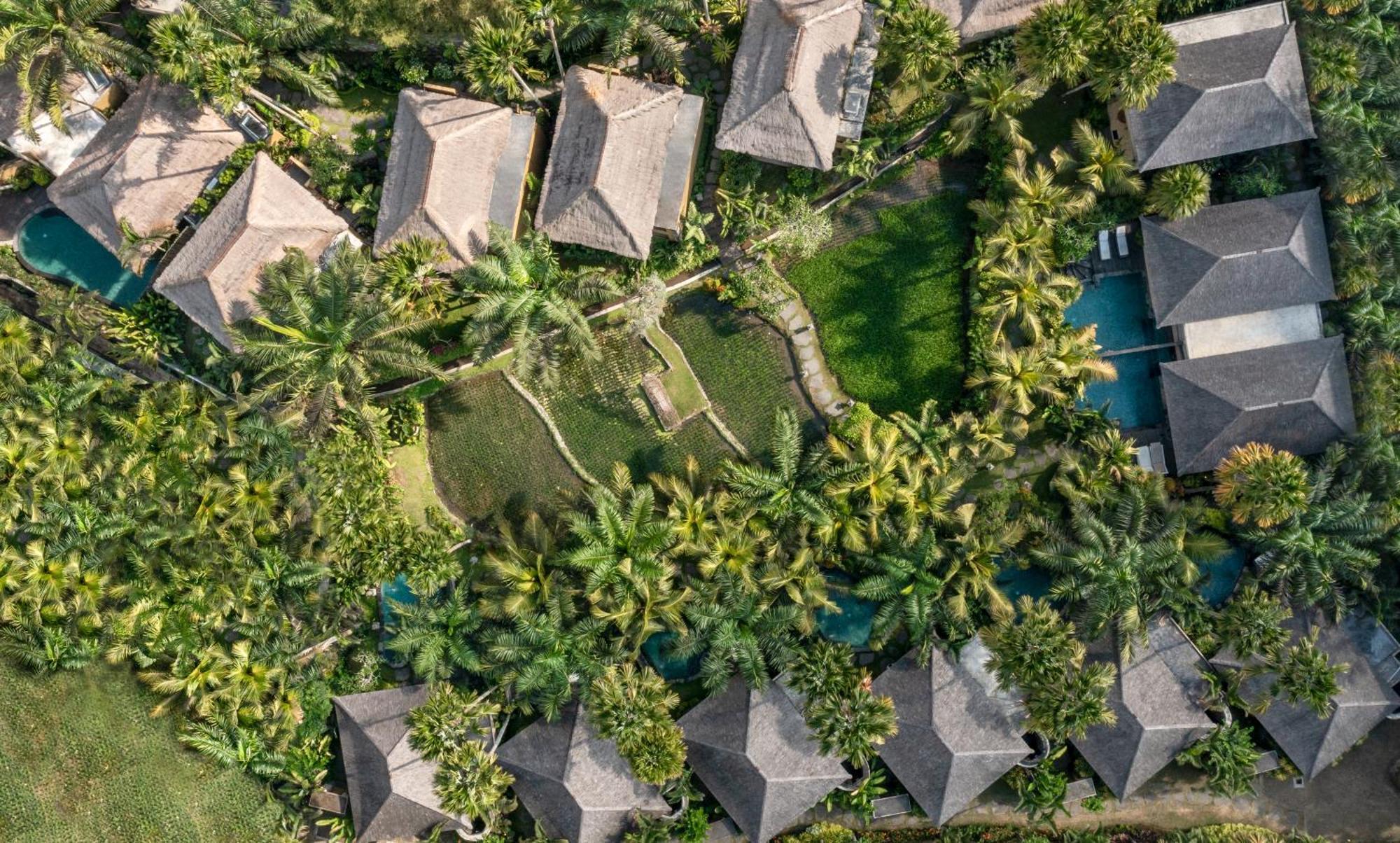 אובוד The Sankara Resort By Pramana מראה חיצוני תמונה